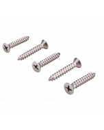 Spee-D Channel Grate Screws