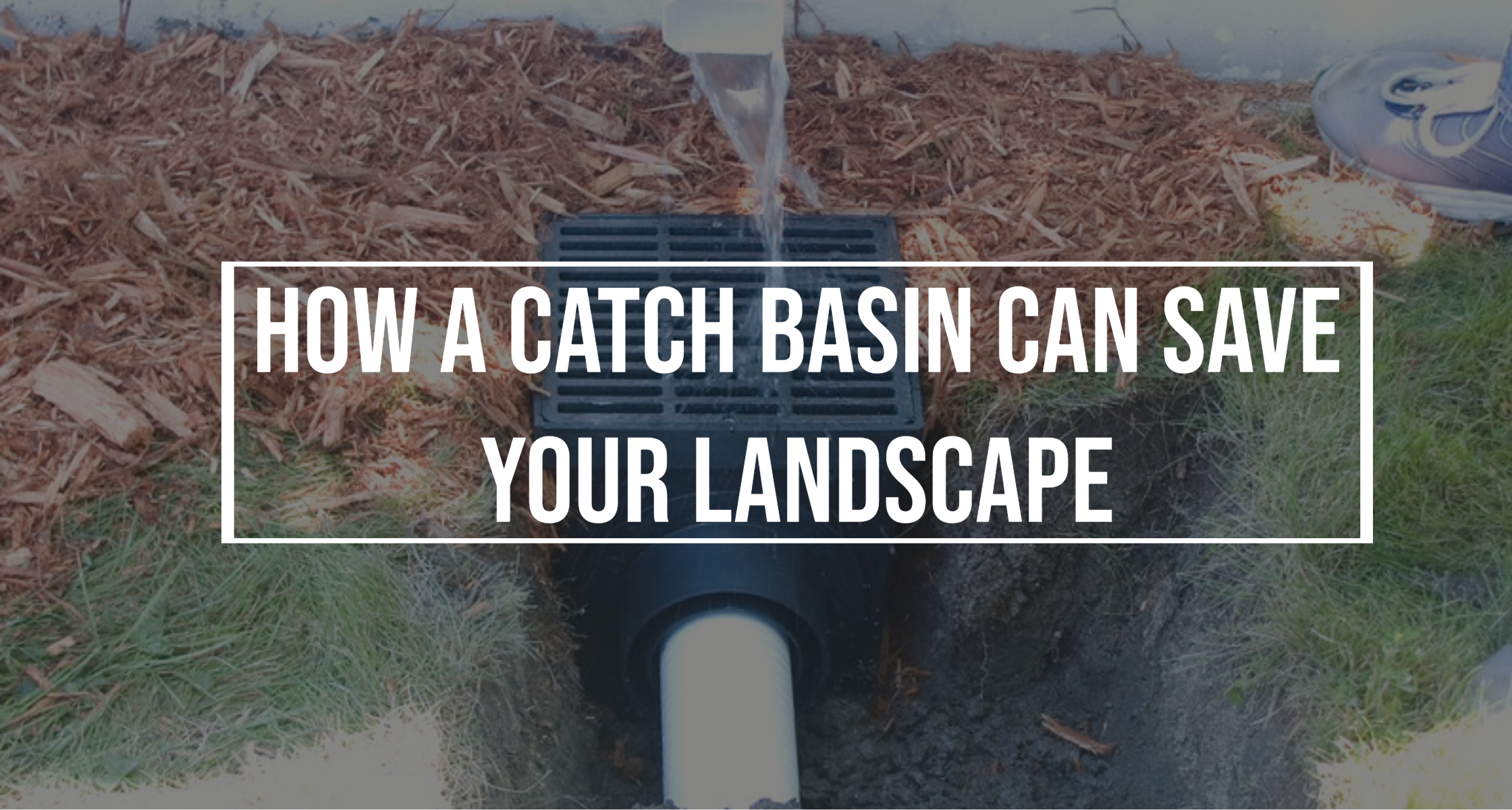 How a Catch Basin Can Save Your Landscape