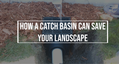 How a Catch Basin Can Save Your Landscape