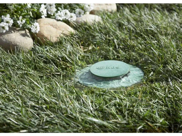 Pop-up drain emitter discharging runoff in a lawn