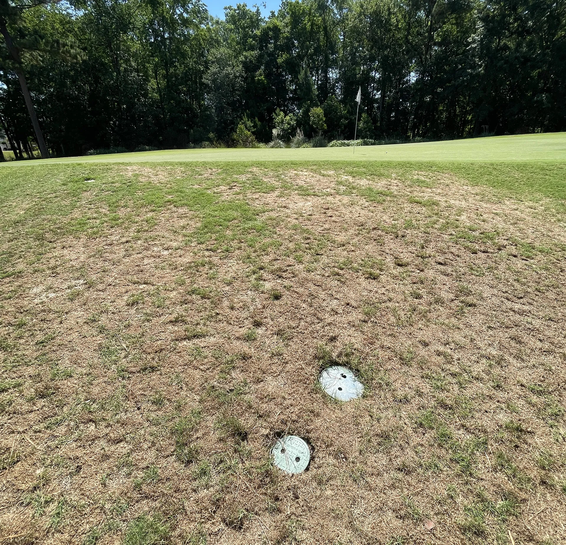 Round valve box installed in turf at TPC Myrtle Beach golf course